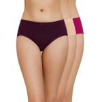ELEG & STILANCE Women's Mid-Rise Full Coverage Hipster Panties | Solid Print Underwear with Waistband | Daily Use Comfortable Innerwear