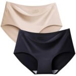 Women's Summer Seamless Ice Silk Fabric Stretchable Breathable Underwear Invisible Bikini No Show Comfort Panties (Multicolor). Pack of 2