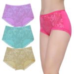 ELEG & STILANCE Women’s Lace Full Coverage Panties | High Waist Soft Stretch Briefs | Breathable Seamless Everyday Innerwear | Multi-Color Pack